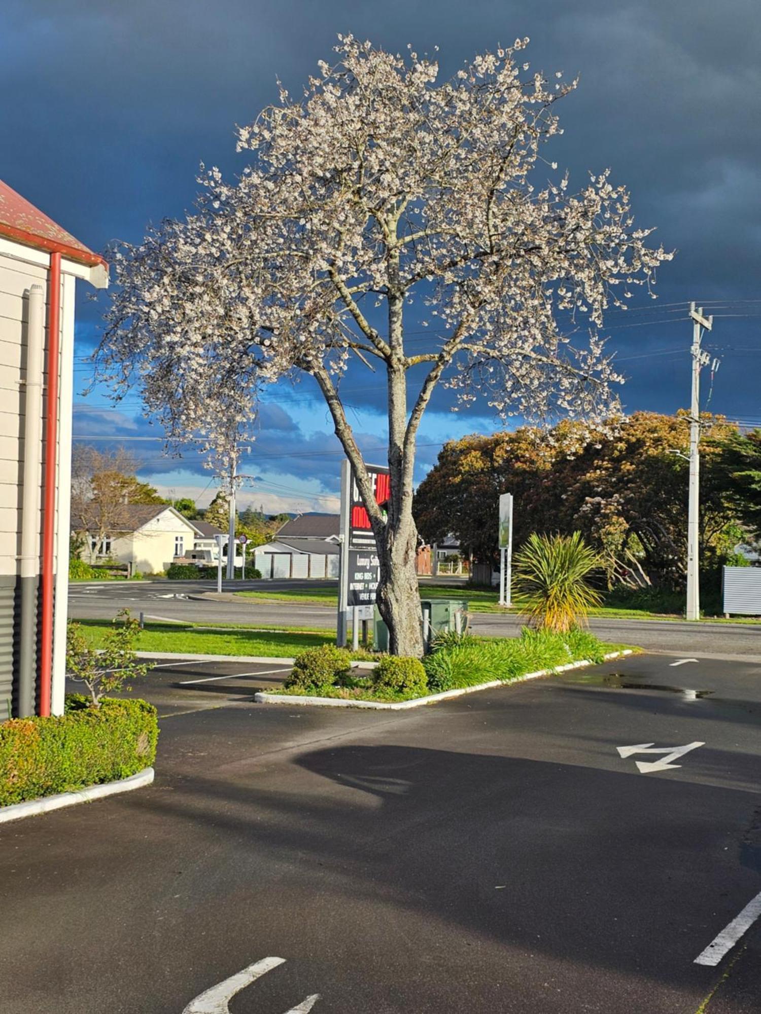 Gateway Motor Inn Masterton Exterior foto